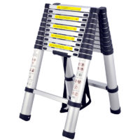 telescopic ladder