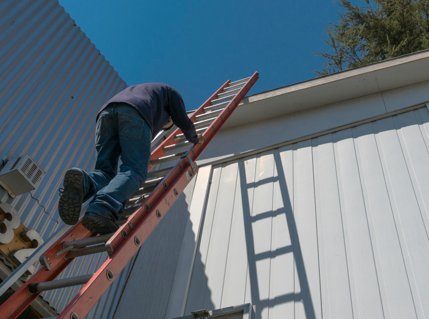 Roof Ladder